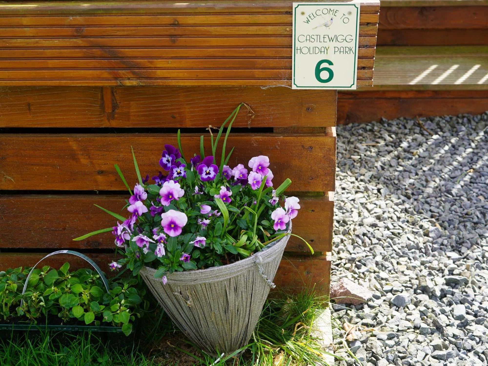 Roe Deer Lodge Newton Stewart Esterno foto